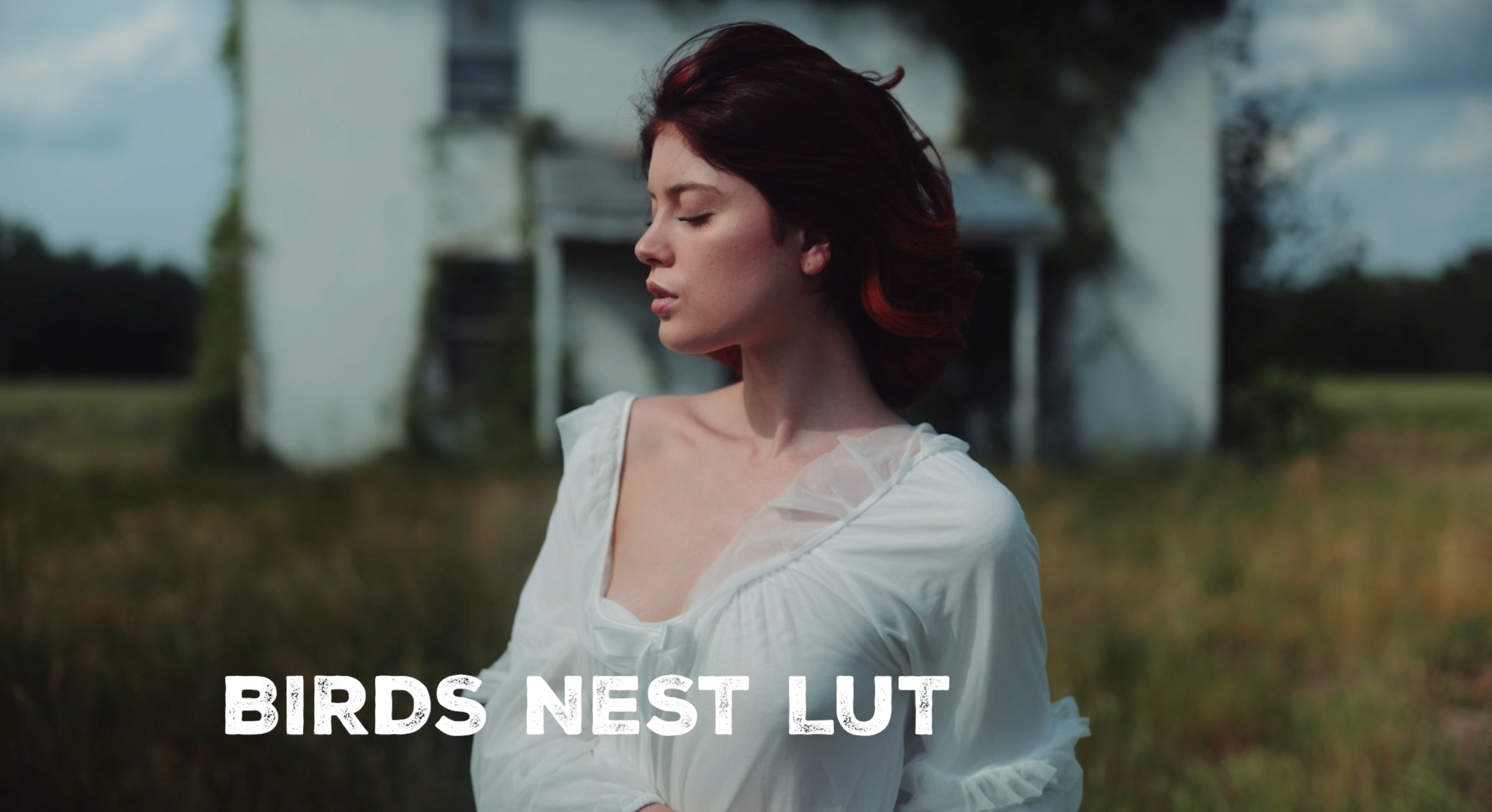 J. Marcus Cinematic Luts Vol 1